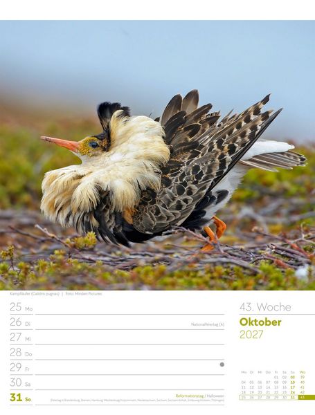Produktbild: V&ouml;gel Wochenplaner Kalender 2027