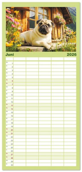 Produktbild: Familienplaner 2026 - Mops trifft Berglust. Fidele Gipfelst&uuml;rmer im H&ouml;henrausch mit 5 Spalten (Wandkalender, 21 x 45 cm) CALVENDO