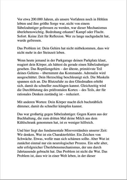 Produktbild: Zen und die Kunst, den Leuten Nicht Auf die Schnauze Zu Hauen