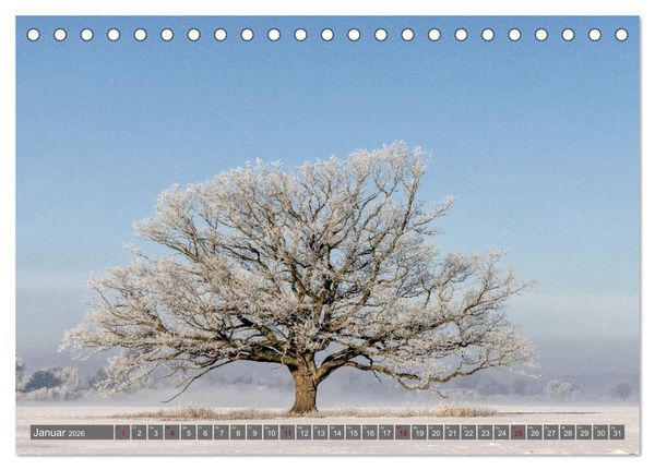 Produktbild: Naturlandschaft Elbe - Im Wechsel der Jahreszeiten (Tischkalender 2026 DIN A5 quer), CALVENDO Monatskalender