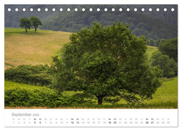 Produktbild: Wundersch&ouml;ne B&auml;ume im Sauerland (Tischkalender 2026 DIN A5 quer), CALVENDO Monatskalender