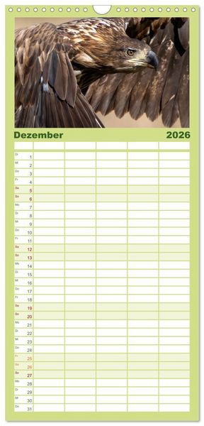 Produktbild: Familienplaner 2026 - Seeadler in Polen mit 5 Spalten (Wandkalender, 21 x 45 cm) CALVENDO
