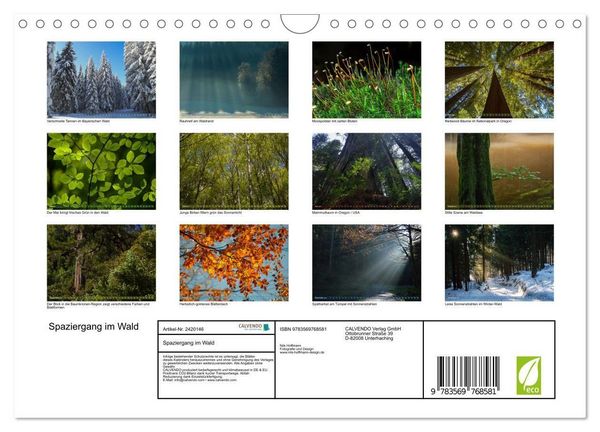 Produktbild: Spaziergang im Wald (Wandkalender 2027 DIN A4 quer), CALVENDO Monatskalender
