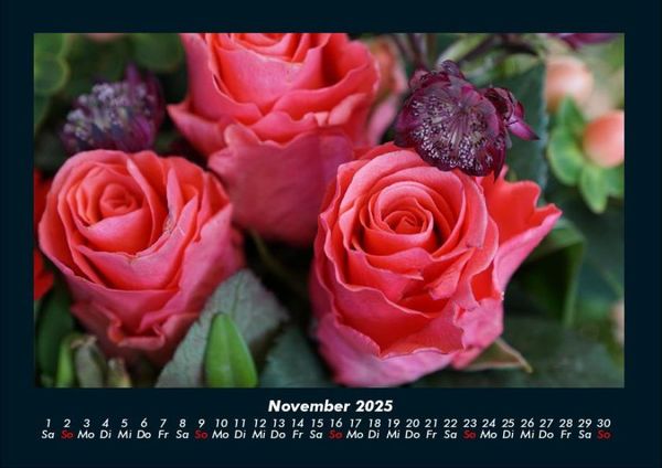 Produktbild: Rosen-Kalender 2025 Fotokalender DIN A4