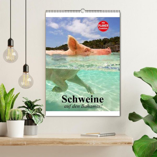 Produktbild: Schweine auf den Bahamas! (Wandkalender 2026 DIN A2 hoch), CALVENDO Monatskalender
