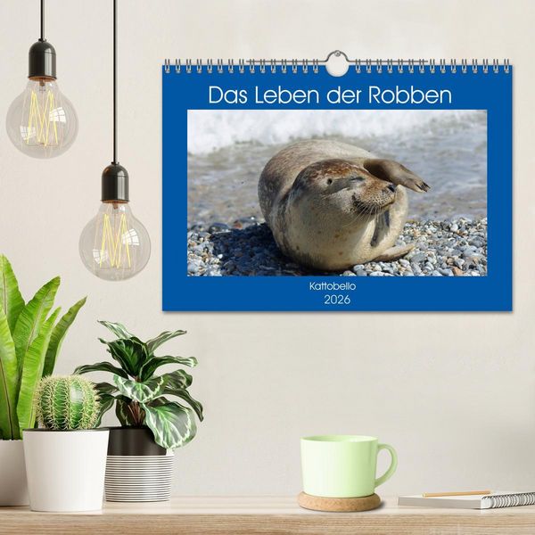 Produktbild: Das Leben der Robben (Wandkalender 2026 DIN A4 quer), CALVENDO Monatskalender