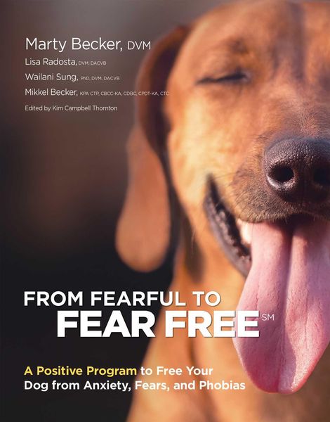 Produktbild: From Fearful to Fear Free