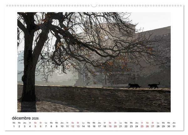 Produktbild: Berlioz et Zo&eacute; &agrave; Angers (Calendrier mural 2026 DIN A2 vertical) calendrier de bureau