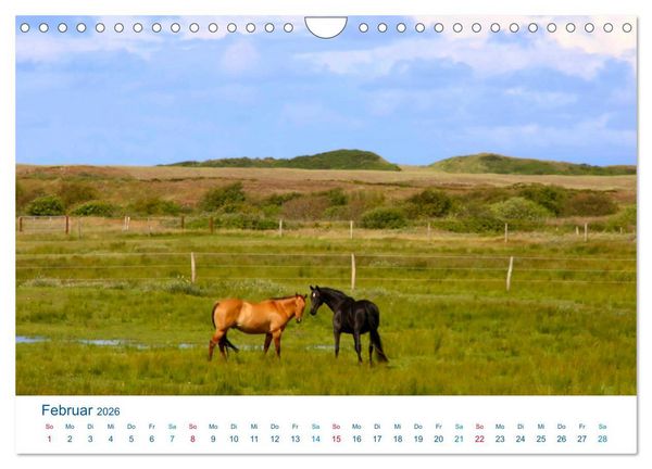 Produktbild: Langeoog 2026. Impressionen zwischen Hafen und Ostende (Wandkalender 2026 DIN A4 quer), CALVENDO Monatskalender