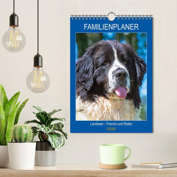 Produktbild: Familienplaner Landseer - Freund und Retter (Wandkalender 2026 DIN A4 hoch), CALVENDO Monatskalender