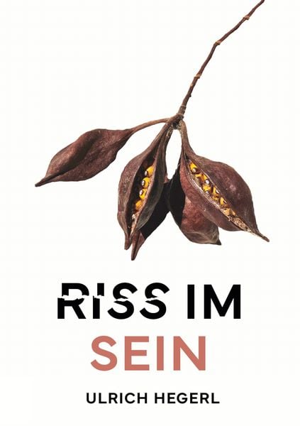 Produktbild: Riss im Sein