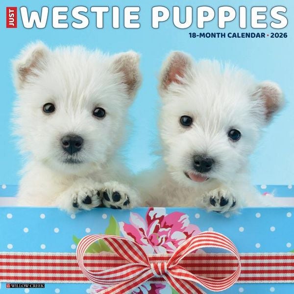Produktbild: Westie Puppies 2026 12 X 12 Wall Calendar