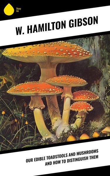 Produktbild: Our Edible Toadstools and Mushrooms and How to Distinguish Them
