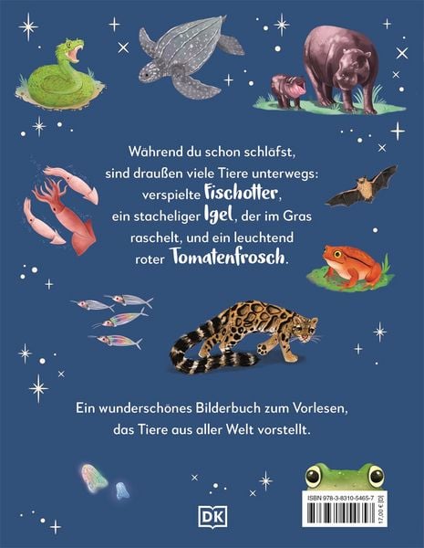 Produktbild: Mein liebstes Buch der Tiere der Nacht