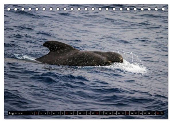 Produktbild: La Gomera Sonne, Meer und Vulkane (Tischkalender 2026 DIN A5 quer), CALVENDO Monatskalender