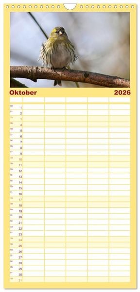 Produktbild: Familienplaner 2026 - Erlenzeisige mit 5 Spalten (Wandkalender, 21 x 45 cm) CALVENDO