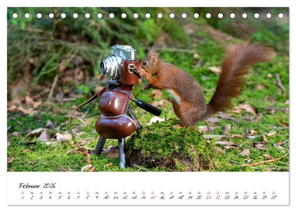 Produktbild: Die Schwarzwald-Eichh&ouml;rnchen (Tischkalender 2026 DIN A5 quer), CALVENDO Monatskalender