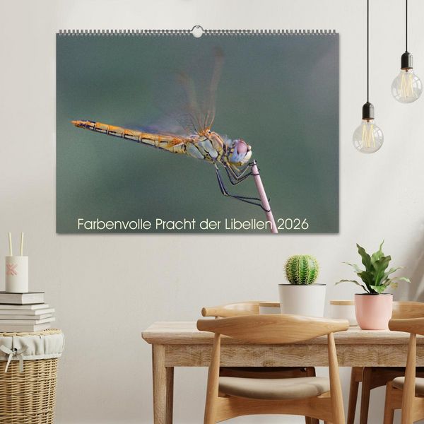 Produktbild: Farbenvolle Pracht der Libellen (Wandkalender 2026 DIN A2 quer), CALVENDO Monatskalender