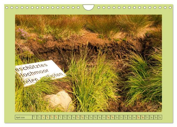 Produktbild: Wonderful Black Forest (Wall Calendar 2026 DIN A4 landscape), CALVENDO 12 Month Wall Calendar