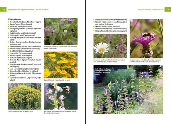 Produktbild: N&uuml;tzlinge im Garten f&ouml;rdern