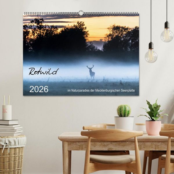 Produktbild: Rotwild - im Naturparadies der Mecklenburgischen Seenplatte (Wandkalender 2026 DIN A2 quer), CALVENDO Monatskalender
