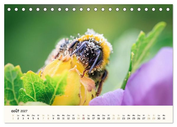 Produktbild: Les voisins du jardin - Une ann&eacute;e de rencontres (Calendrier de bureau 2027 DIN A5 vertical), CALVENDO calendrier mensuel