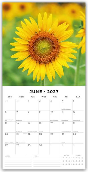 Produktbild: Sunflowers &ndash; Sonnenblumen 2027 &ndash; 16-Monatskalender