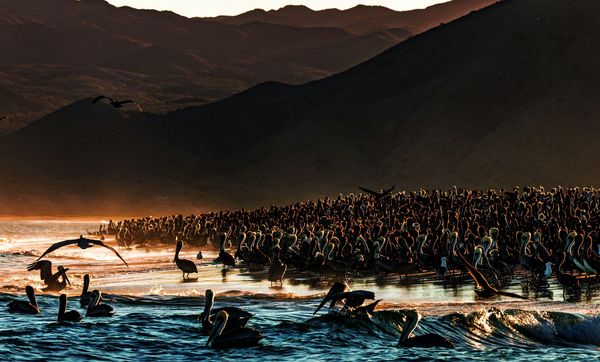 Produktbild: Baja California