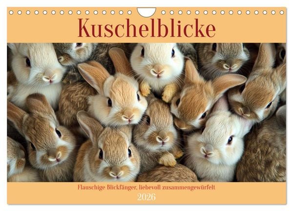 Produktbild: Kuschelblicke (Wandkalender 2026 DIN A4 quer), CALVENDO Monatskalender