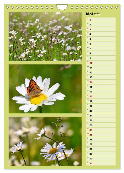 Produktbild: Farbenzauber, bunte Wiesen und bunte Falter (Wandkalender 2026 DIN A4 hoch), CALVENDO Monatskalender