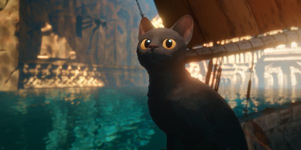 Produktbild: Flow (4K Ultra HD)