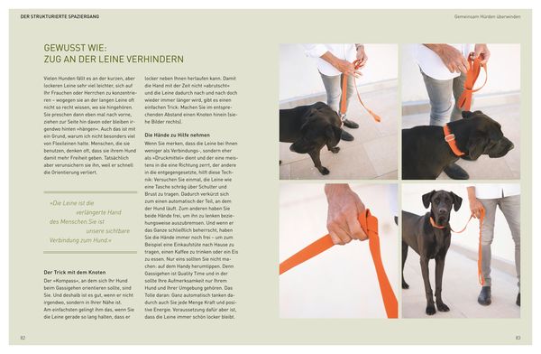 Die José-Arce-Methode: Liebe Deinen Hund. Wie Sie beim Gassigehen die Beziehung stärken
