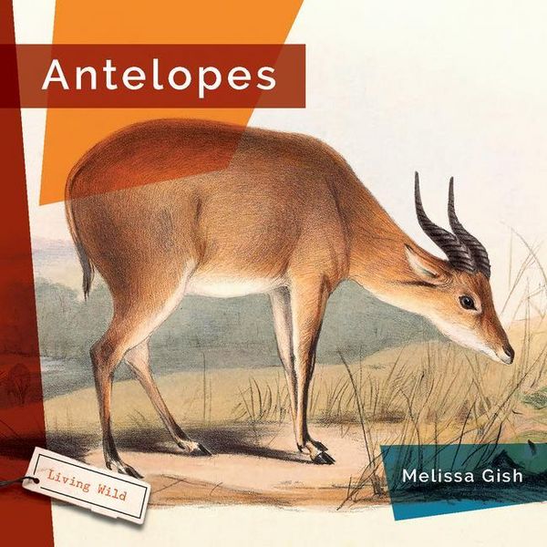 Produktbild: Antelopes