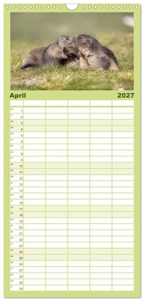 Produktbild: Familienplaner 2027 - Tiere der Alpen - Murmeltier-Kinder mit 5 Spalten (Wandkalender, 21 x 45 cm) CALVENDO