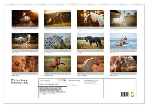 Produktbild: Pferde - Anmut, Eleganz, Magie (Wandkalender 2026 DIN A2 quer), CALVENDO Monatskalender