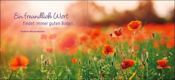 Produktbild: Ein kleines Dankesch&ouml;n