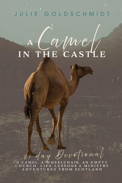Produktbild: A Camel in the Castle
