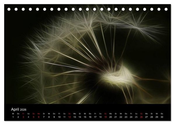 Produktbild: Floral Abstrakt 2026 (Tischkalender 2026 DIN A5 quer), CALVENDO Monatskalender