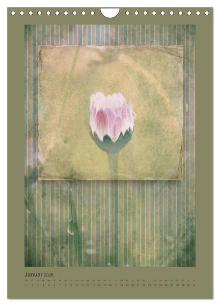 Produktbild: Vintage Style (Wandkalender 2026 DIN A4 hoch), CALVENDO Monatskalender