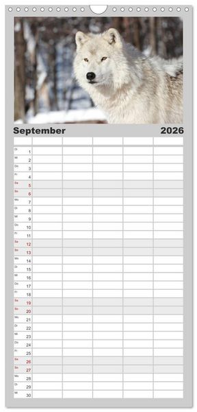 Produktbild: Familienplaner 2026 - W&ouml;lfe. Graue Eminenzen mit 5 Spalten (Wandkalender, 21 x 45 cm) CALVENDO