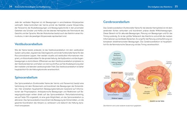 Produktbild: Das neue Krafttraining