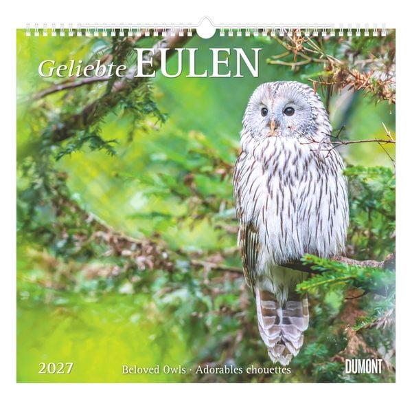 Produktbild: Geliebte Eulen 2027