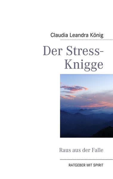Produktbild: Der Stress-Knigge
