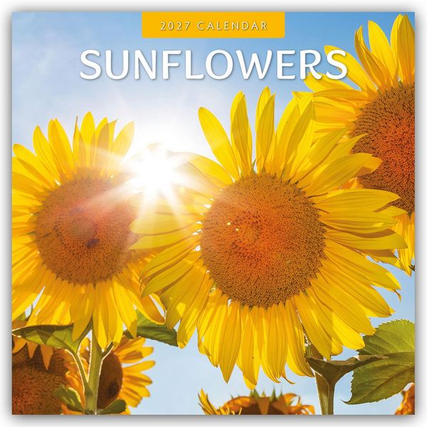 Produktbild: Sunflowers &ndash; Sonnenblumen 2027 &ndash; 16-Monatskalender
