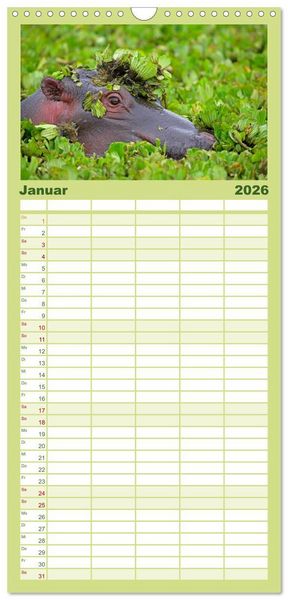 Produktbild: Familienplaner 2026 - Flusspferde Magie des Augenblicks - Hippos in Afrika mit 5 Spalten (Wandkalender, 21 x 45 cm) CALVENDO