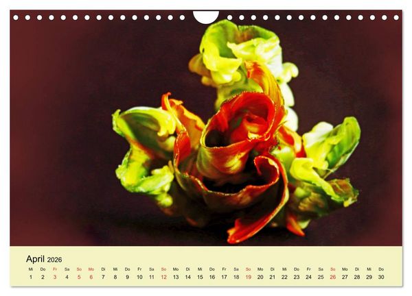 Produktbild: Fantastische Reise in die Welt der Blumen (Wandkalender 2026 DIN A4 quer), CALVENDO Monatskalender