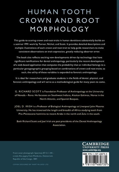 Produktbild: Human Tooth Crown and Root Morphology