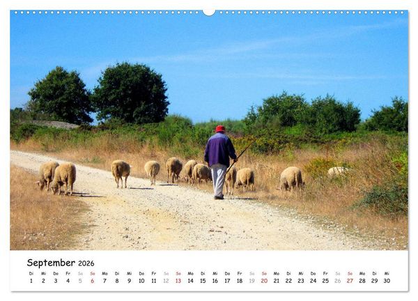 Produktbild: Jakobsweg - Camino Primitivo (Wandkalender 2026 DIN A2 quer), CALVENDO Monatskalender