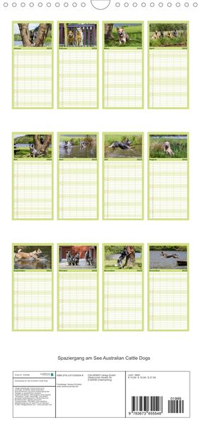 Produktbild: Spaziergang am See Australian Cattle Dogs - Familienplaner hoch (Wandkalender 2022 , 21 cm x 45 cm, hoch)