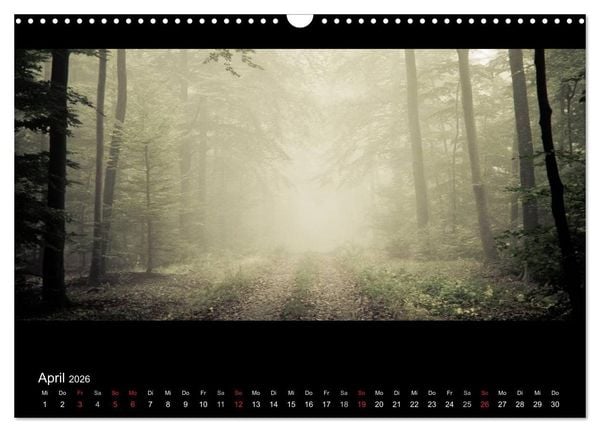 Produktbild: NEBEL (Wandkalender 2026 DIN A3 quer), CALVENDO Monatskalender